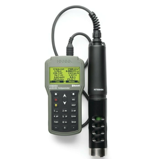 Hanna 98494 Waterproof Portable Meter